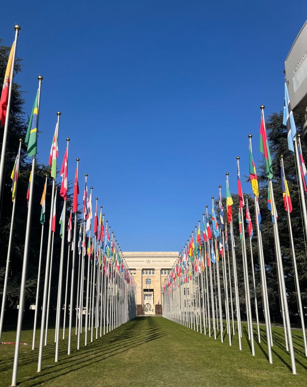 🌐 Política Global 2026: Los Cambios más Importantes que Afectan tu Vida Hoy